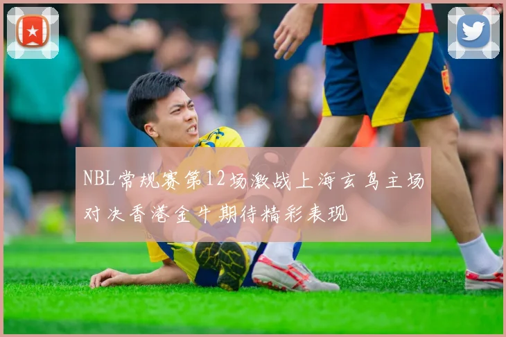 NBL常规赛第12场激战上海玄鸟主场对决香港金牛期待精彩表现