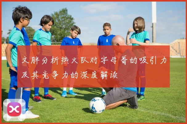 文胖分析热火队对字母哥的吸引力及其竞争力的深度解读