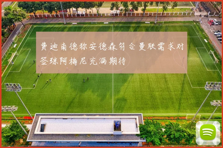 费迪南德称安德森符合曼联需求对签琼阿梅尼充满期待