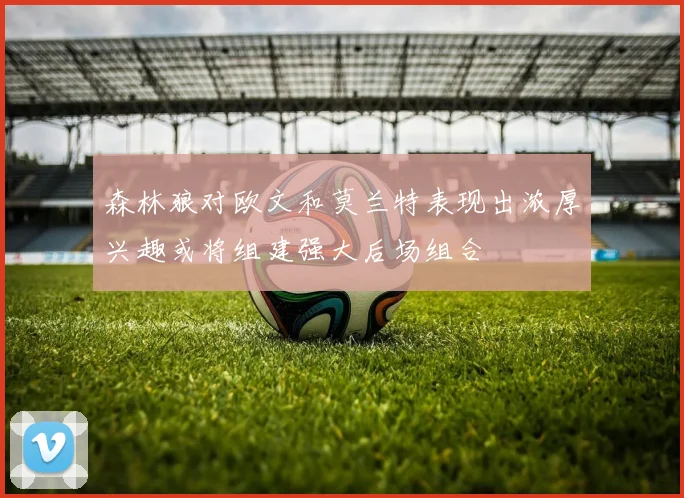 森林狼对欧文和莫兰特表现出浓厚兴趣或将组建强大后场组合